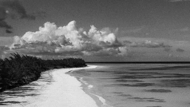 What We Know About the Disappearance of Lynette Hooker