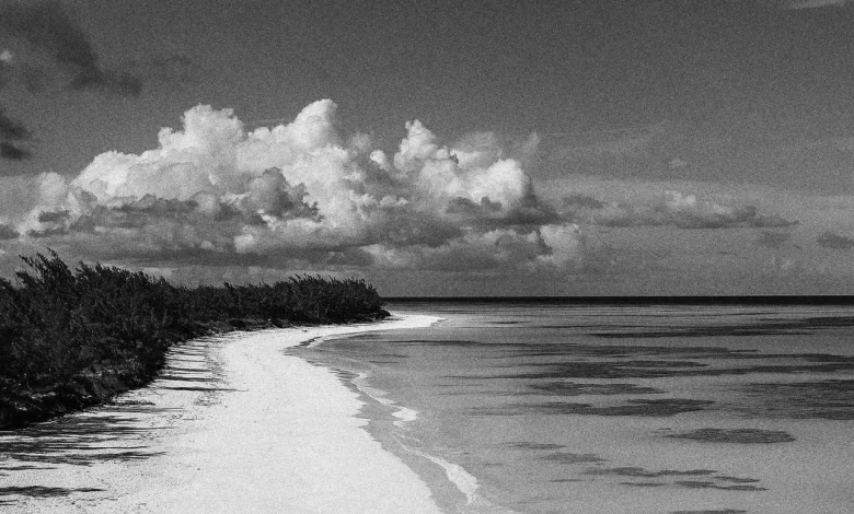 What We Know About the Disappearance of Lynette Hooker