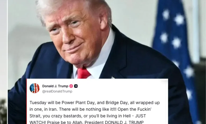 What is Section 4 of 25th Amendment? Donald Trump's 'crazy bastards' post triggers calls to remove him