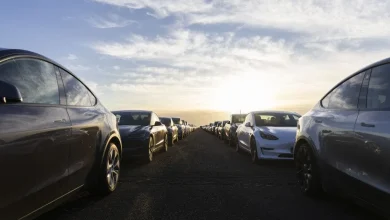 What the first FSD approval in Europe means for Tesla