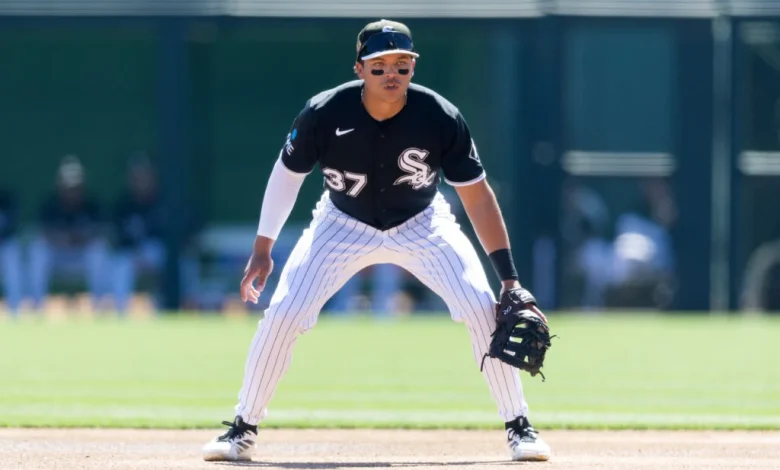 White Sox Place Austin Hays On IL, Select Dustin Harris