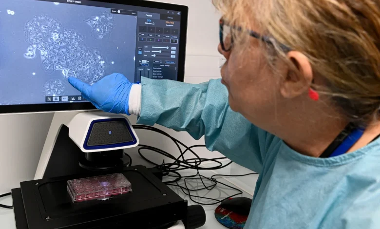 Why these treatments for one of the deadliest cancers are stirring such hope - The Washington Post