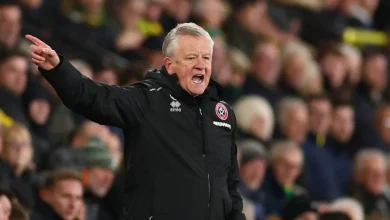 Wilder's Hull preview