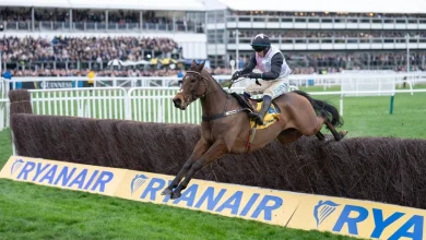 'Will he bounce?' - top tipster eager to take on Heart Wood in Melling Chase on day two of the Grand National meeting