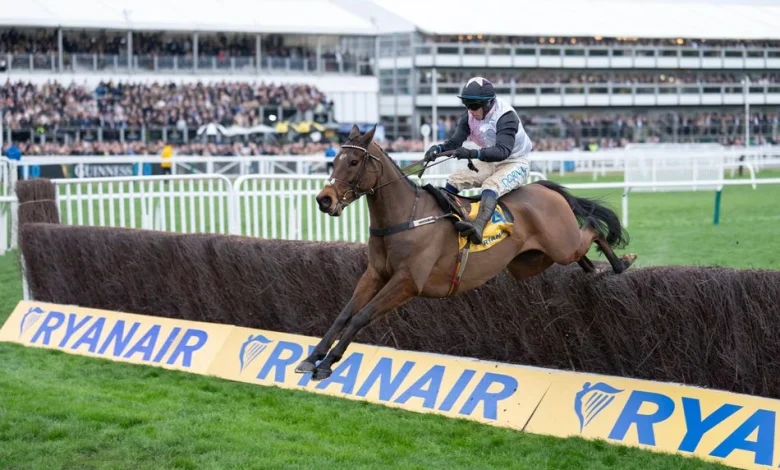 'Will he bounce?' - top tipster eager to take on Heart Wood in Melling Chase on day two of the Grand National meeting