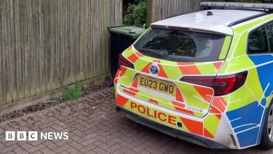 Woman, 19, killed in dog attack at house near Dunmow