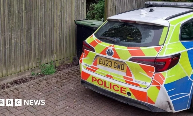 Woman, 19, killed in dog attack at house near Dunmow