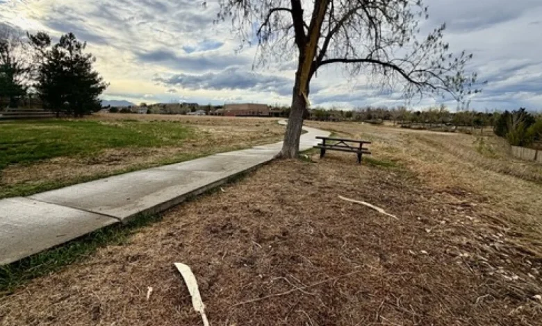 Woman struck by lightning in Superior ID'd, remains in critical condition