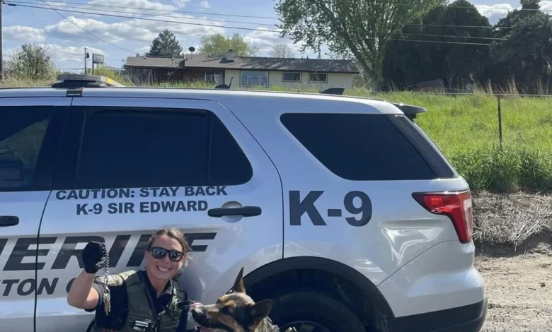 Woman's phone destroyed, car vandalized with feces leads to arrest in Tri-City Heights