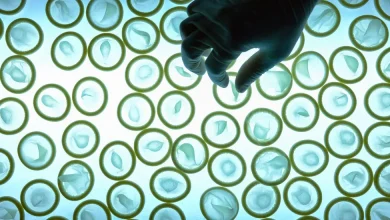 World’s Biggest Condom Maker Raises Prices as Iran War Rattles Supply Chains