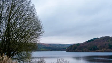Yorkshire Water warns of dangers of swimming in reservoirs