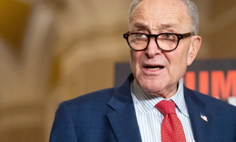 'You Are Out of Touch': Schumer Faces New Calls to Step Aside After Israel Weapons Vote