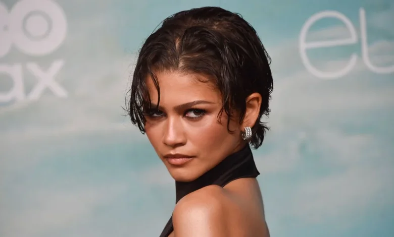 Zendaya avoids Sydney Sweeney at Euphoria's Los Angeles premiere after huge feud