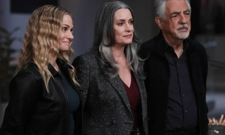 ‘Criminal Minds: Evolution’ Renewed for Season 20, Paramount+ Sets Season 19 Release Date