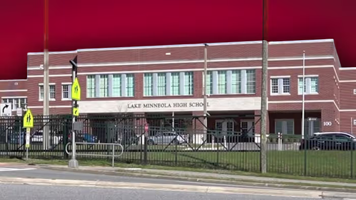 ‘Million-dollar prostitute:’ Sub caught acting erratically in Lake County classroom