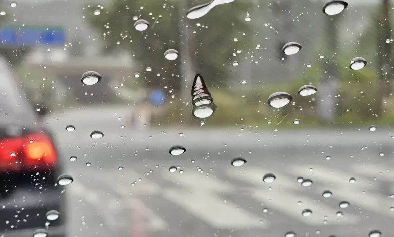 경남·경북·전남권 아침까지 雨… 낮밤 기온차 유의 [내일날씨]