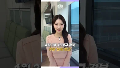 [날씨체크] 토요일부터 다시 초여름 날씨···주말에 자외선과 일교차 주의