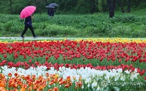 충청·남부 전역에 비바람…제주 산지 최대 100mm 강수량 예상