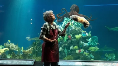 13 Movies and Shows Like Remarkably Bright Creatures to Boost Your Mood