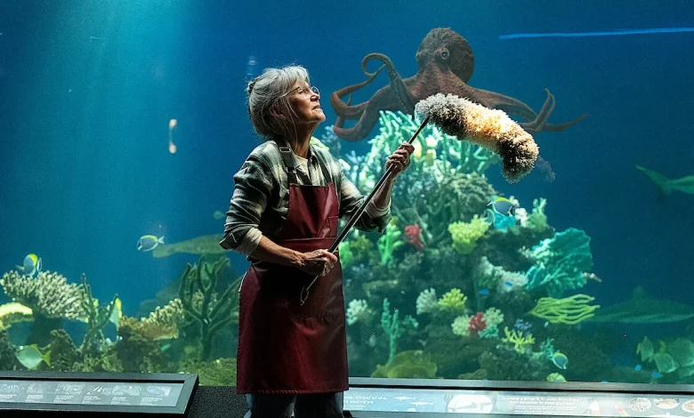 13 Movies and Shows Like Remarkably Bright Creatures to Boost Your Mood