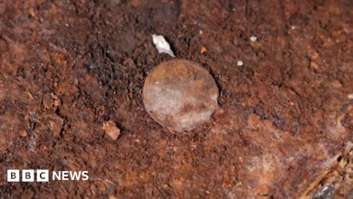 19th Century coins found under HMS Victory's mast
