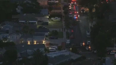 2 adults, 2 juveniles found dead with gunshot wounds in apparent murder-suicide in North Hills, LAPD says
