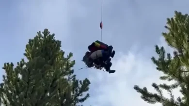 2 hikers injured in bear attack on Yellowstone trail