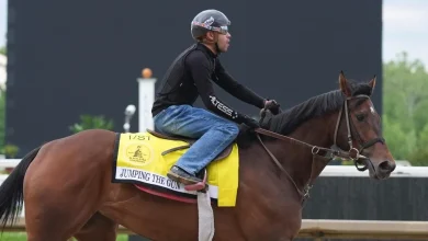 2026 Black-Eyed Susan Stakes picks, odds: Horse racing writer has best bets for Friday's race