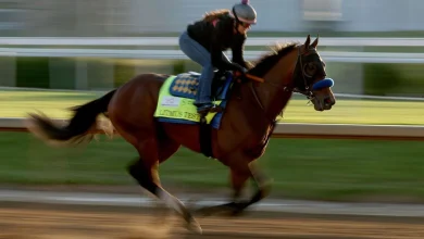 2026 Kentucky Derby: Date, time, horses, odds, format, purse