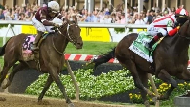 2026 Preakness Stakes day picks grid: Experts give their top three selections for eight stakes races on Saturday