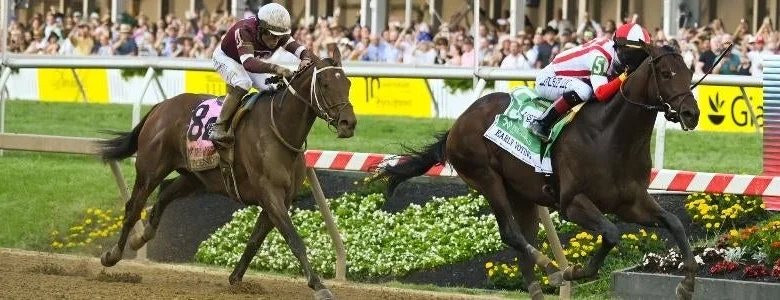2026 Preakness Stakes day picks grid: Experts give their top three selections for eight stakes races on Saturday
