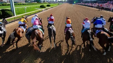 2026 Turf Classic Stakes: Win, place and trifecta picks from horse racing guru