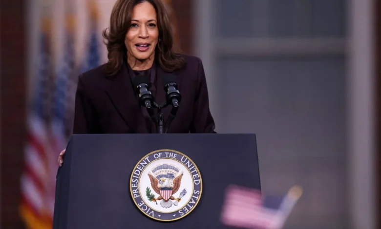 4 takeaways from the DNC's long-awaited 2024 election autopsy report