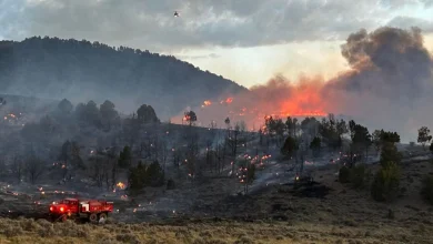 5 wildfires started in Utah over the last 24 hours; what you need to know
