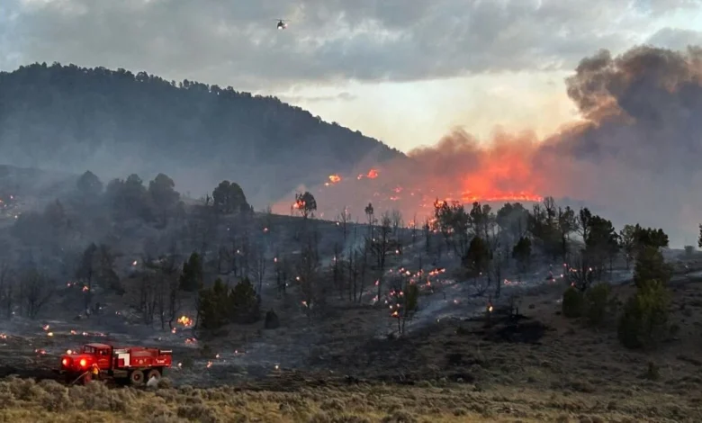 5 wildfires started in Utah over the last 24 hours; what you need to know