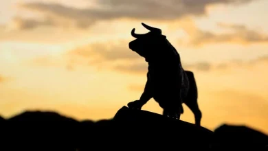 £500 could buy me 603 shares in this 10.8% yielding income stock!