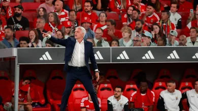 62.263: o Benfica precisa deste número