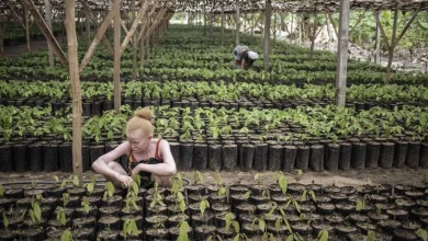 À Madagascar, une série d’attaques contre des personnes albinos ravive la peur