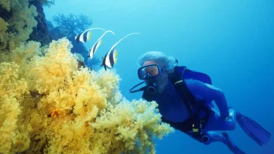 A Scuba Pioneer Reflects On A Life Of Conservation In Fiji