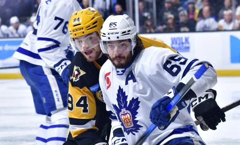 AHL Morning Skate: May 29, 2026