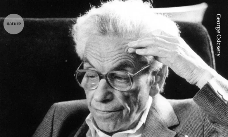 AI cracks 80-year-old mathematics challenge — researchers are astonished