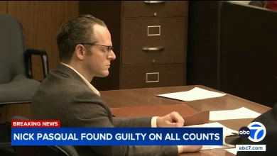 Actor Nick Pasqual found guilty of attempted murder in stabbing of estranged girlfriend multiple times at her Sunland home