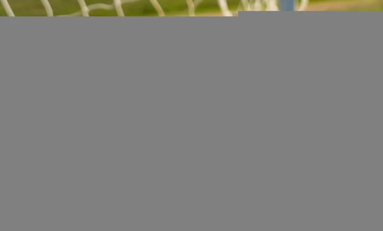 Al Nassr vs Al Hilal: Saudi Pro League stats & head-to-head