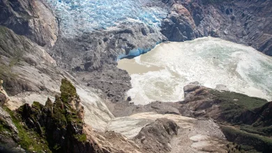 Alaska’s near-record landslide tsunami sent a wave 1,580 feet up the fjord walls – and left clues for building a warning system