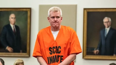 Alex Murdaugh murder conviction overturned by state supreme court