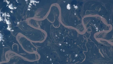 An Amazon rainforest river from space | Space photo of the day for April 30, 2026