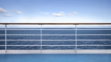 Andes Virus Outbreak on a Cruise Ship: Current Situation | Hantavirus