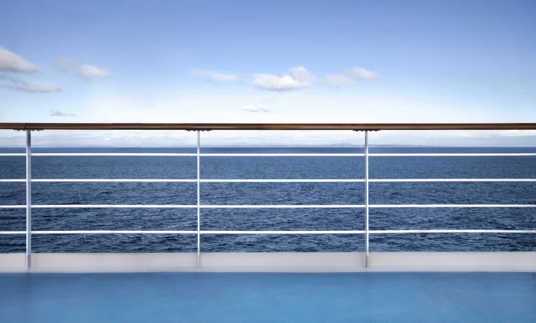 Andes Virus Outbreak on a Cruise Ship: Current Situation | Hantavirus