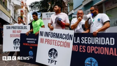 Anger and resignation in Tenerife as hantavirus ship approaches