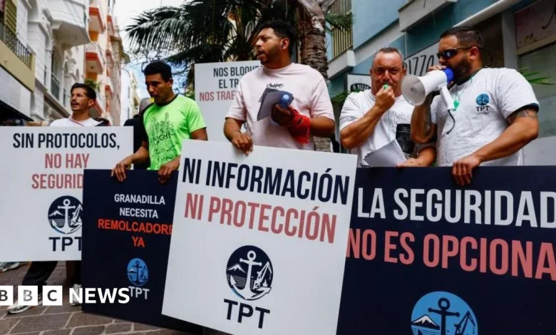 Anger and resignation in Tenerife as hantavirus ship approaches